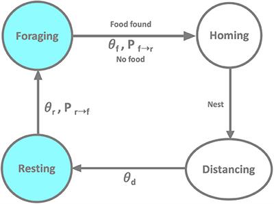 Adaptive Foraging in Dynamic Environments Using Scale-Free Interaction Networks